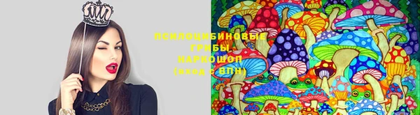 хмурый Алексин