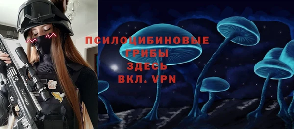 хмурый Алексин
