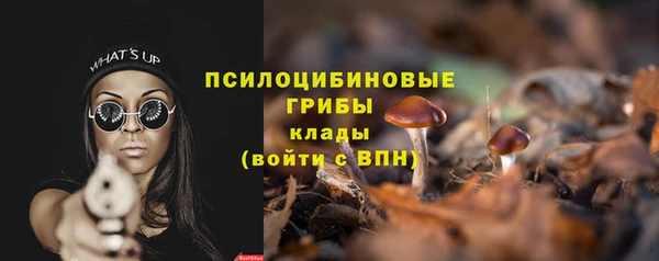 хмурый Алексин