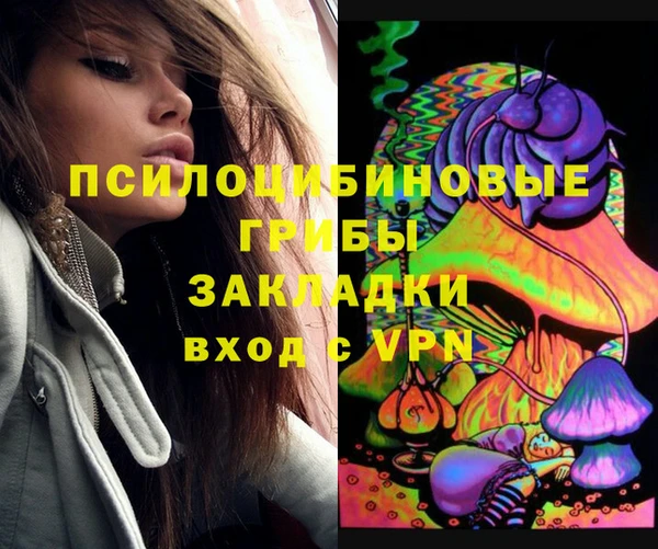 винт Алзамай