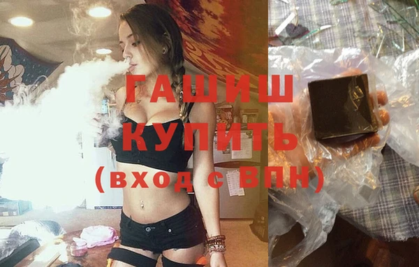 хмурый Алексин