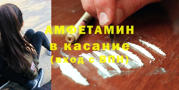 хмурый Алексин