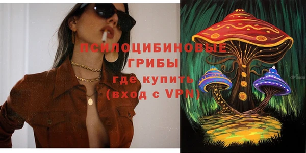 винт Алзамай