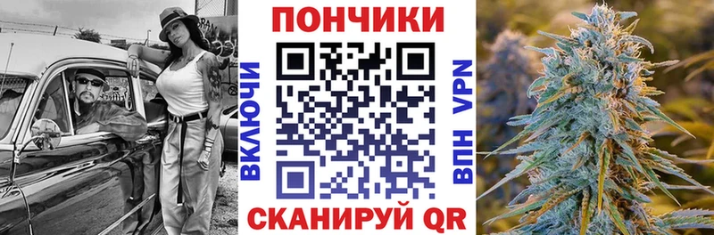 где найти наркотики  Беслан  Каннабис сатива 